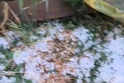 Edirne’de dolu yağışı etkili oldu

