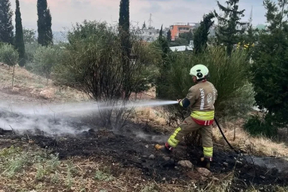 İskenderun’da otluk alan yangını
