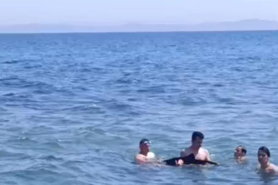 Tekirdağ'da yavru yunus yüzenlerin yanına geldi