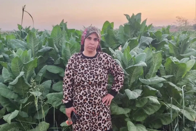 Tarlada beyin kanaması geçiren 3 çocuk annesi yaşamını yitirdi