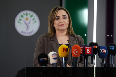 DEM Parti'li Doğan: Çerçeve yasa taslağı hazırlıkları için son aşamadayız