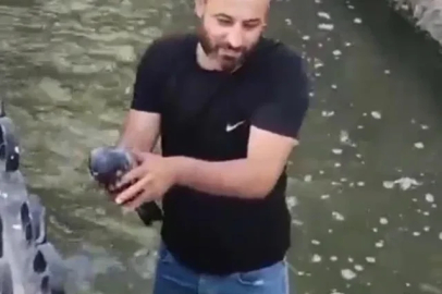 Su kanalına düşen güvercini kurtarıp, 'Boncuk' ismini verdi