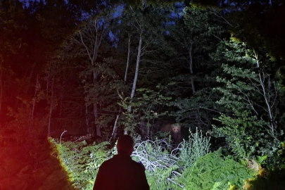 Orman koruma faaliyeti yürüten OBM ekipleri karşılaştıkları ayının fotoğrafını çekti