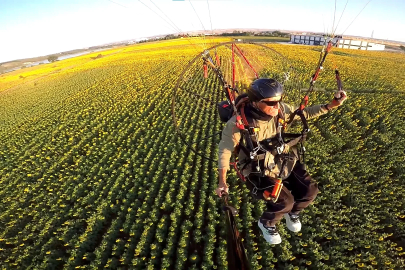 Edirne'nin 'sarı gelin'i ayçiçeği tarlaları üzerinde paramotorla uçtu