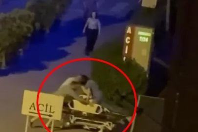 Otomobilin çarptığı yayanın duran kalbi, kalp masajıyla yeniden çalıştırıldı