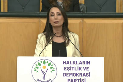 DEM Parti'li Hatimoğulları: Çerçeve yasa mutabakatla çıkmalı 