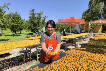 Iğdırlı kadınlar, kayısıyı güneşte kurutup ekonomiye kazandırıyor