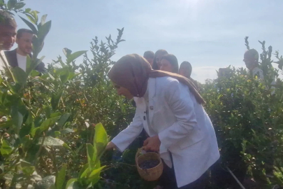 Bakan Göktaş açıkladı, şehit aileleri ve gazilere yönelik haklar genişliyor (2)