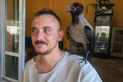 Yaralı halde bulup, iyileştirdiği yavru karga bir an olsun yanından ayrılmıyor