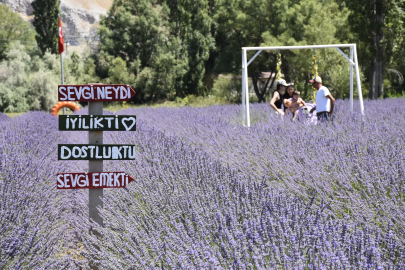 Emeklilikte yaşadığı boşluğu lavanta bahçesi ile doldurdu / Ek fotoğraflar