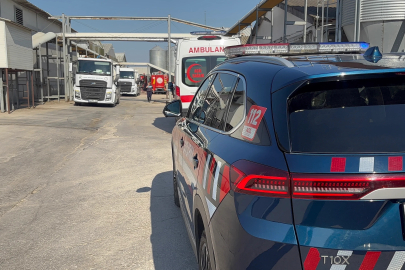 Bursa'da tavuk çiftliğinde yangın (2)