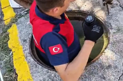 Rögara düşen kedi itfaiye ekibi tarafından kurtarıldı