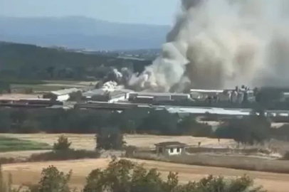 Bursa'da tavuk çiftliğinde yangın