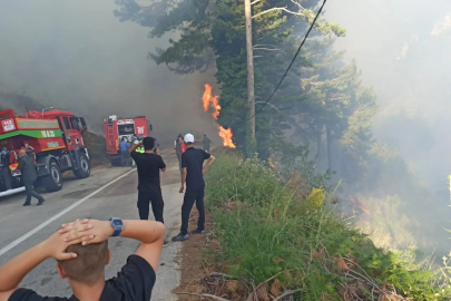 Uludağ'da orman yangını (3)