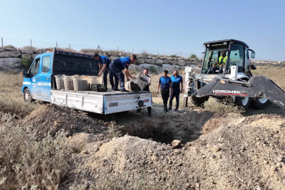 Mersin’de 200 kilo bozuk midye dolması ele geçirildi