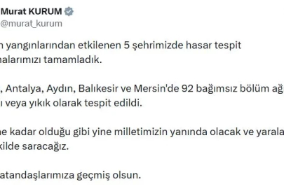 Orman yangınından etkilenen 5 ilde hasar tespit çalışmaları tamamlandı