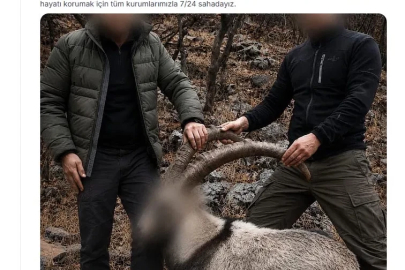 6 yıl önce 5 yaban keçisini yasa dışı avlayan 2 kişiye para cezası