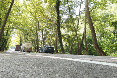 'Ağaç tünel yol'da seyrine doyumsuz manzara