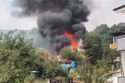 Otluk alanda çıkan yangın barakaya sıçradı