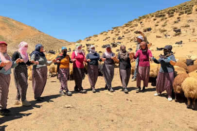  Yaylada süt sağımı sonrası halay çekerek stres atıyorlar