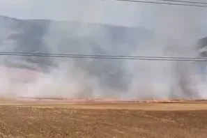 Bursa'da tarlayı ateşe verdiği öne sürülen şüpheli yakalandı