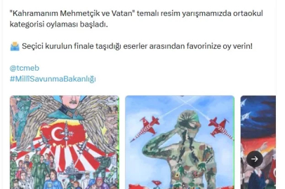 'Kahramanım Mehmetçik ve Vatan' resim yarışması halk oylamasına açıldı