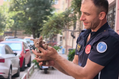 Gider borusuna sıkışan kediyi itfaiye ekipleri kurtardı