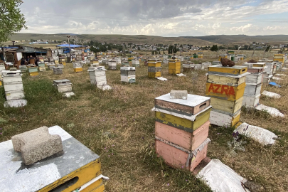 Kars’ta arıcılardan dolu ve fırtınaya karşı ‘taşlı’ önlem