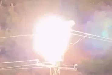 Leyleklerin elektrik direğinde akıma kapılıp öldüğü anlar kamerada