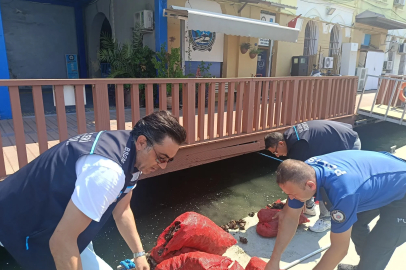 İzmir’de yasa dışı yollarla avlanılan 560 kilo kara midyeye el konuldu