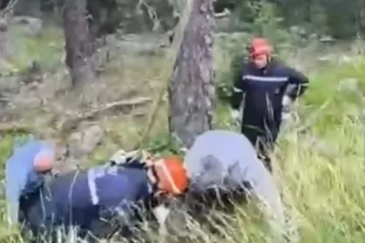 Uçuruma yuvarlanan ineği itfaiye vinçle kurtardı
