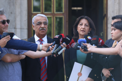 DEM Parti'li Buldan: Süreç hızlı bir şekilde ilerlemeli