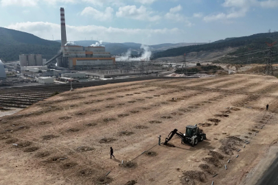 Termik santralin 90 derecelik sıcak suyu, ilk kez serada kullanılacak