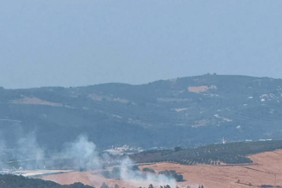 Bursa’da anız yangını