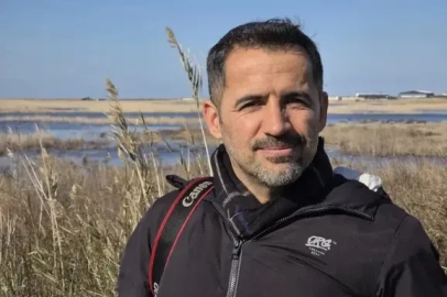 Yönlerini şaşıran yeşil deniz kaplumbağaları, araçların altında kalıp öldü (2)