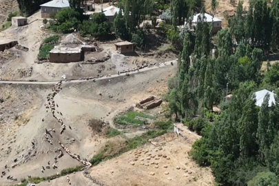 Besiciler, koyunlarını her gün 3 kilometre uzaklıktaki çeşmeye yürütmek zorunda kalıyor