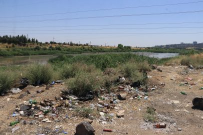 Dicle Vadisi’nde ‘piknikçi’ kirliliği: Atıklar insan ve yaban hayatını tehdit ediyor