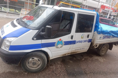 Ordu’da sokak hayvanlarını Akkuş ilçesine bırakan 3 kişi yakalandı