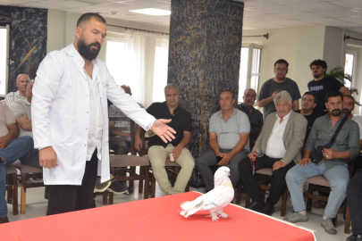 Fiyatı 5 milyon liraya kadar çıkan şebap güvercinleri podyumda/Ek fotoğraflar