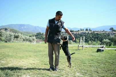 11 yılda yetiştirdiği 4 arama köpeğiyle, sayısız hayat kurtardı