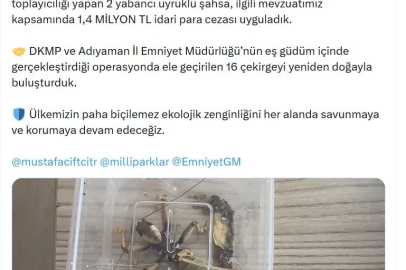 Nemrut Dağı'ndan çekirge toplayan 2 kişiye 1,4 milyon lira ceza