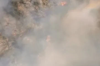 Anız yangınında alevler, ağaçlık alana sıçradı (2)