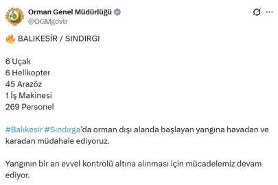 Balıkesir'de kamyondaki yangın ormana sıçradı (2)