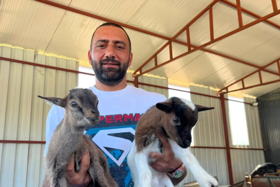 2 cüce keçiyle kurduğu çiftlikte 90 başlık sürüye ulaştı