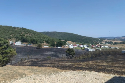 Bursa'da anız yangını ormana sıçradı (2)