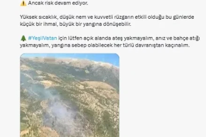 Bursa ve İzmir'de çıkan orman yangınları kontrol altına alındı 