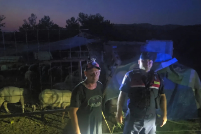 Bursa'da kaybolan 50 koyun jandarmanın dron destekli aramasıyla bulundu