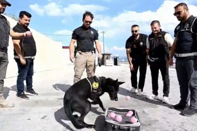 Emekli olan narkotik köpeği Naz'a duygulandıran veda