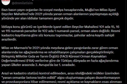 DMM'den yanan ormanların yapılaşmaya açıldığı iddialarına ilişkin açıklama