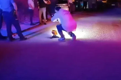 Tabancayla başından vurulmuş cesedi bulundu